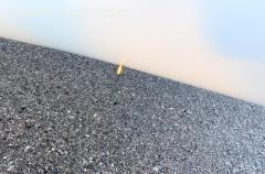 LS 7 WL - Zustand: exzellent – für Strecke u. Wettbewerb – ready to fly