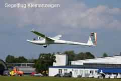 DG-100 for sale