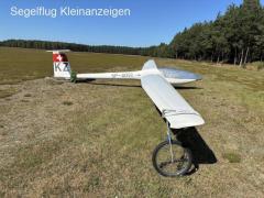 Low hours dg 100 ready to fly