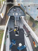 Discus b in top condition