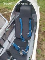 Discus b in top condition