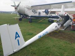 Discus b in top condition