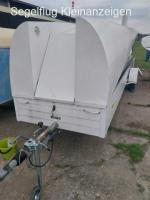 Discus b in top condition