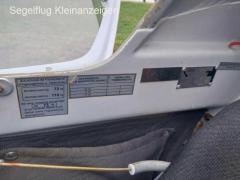 Discus b in top condition