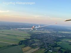 Dimona H36 – Gepflegter Motorsegler aus Haltergemeinschaft zu verkaufen